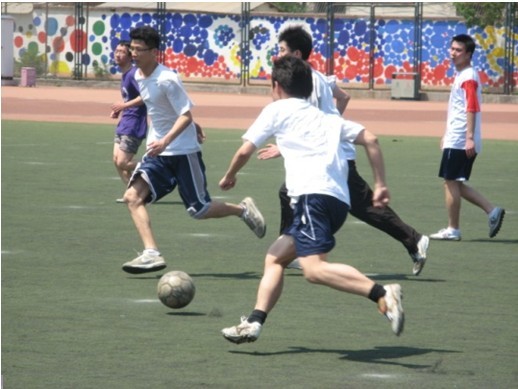 球和篮球等 球和篮球等